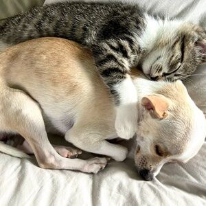 Meet your Posher, Ruby